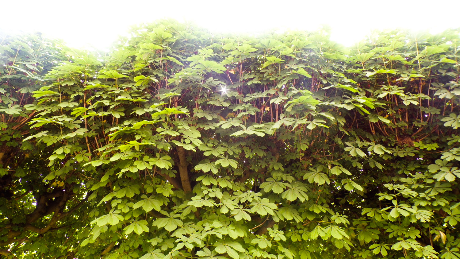 « Pour eux le dimanche est signe de déprime »