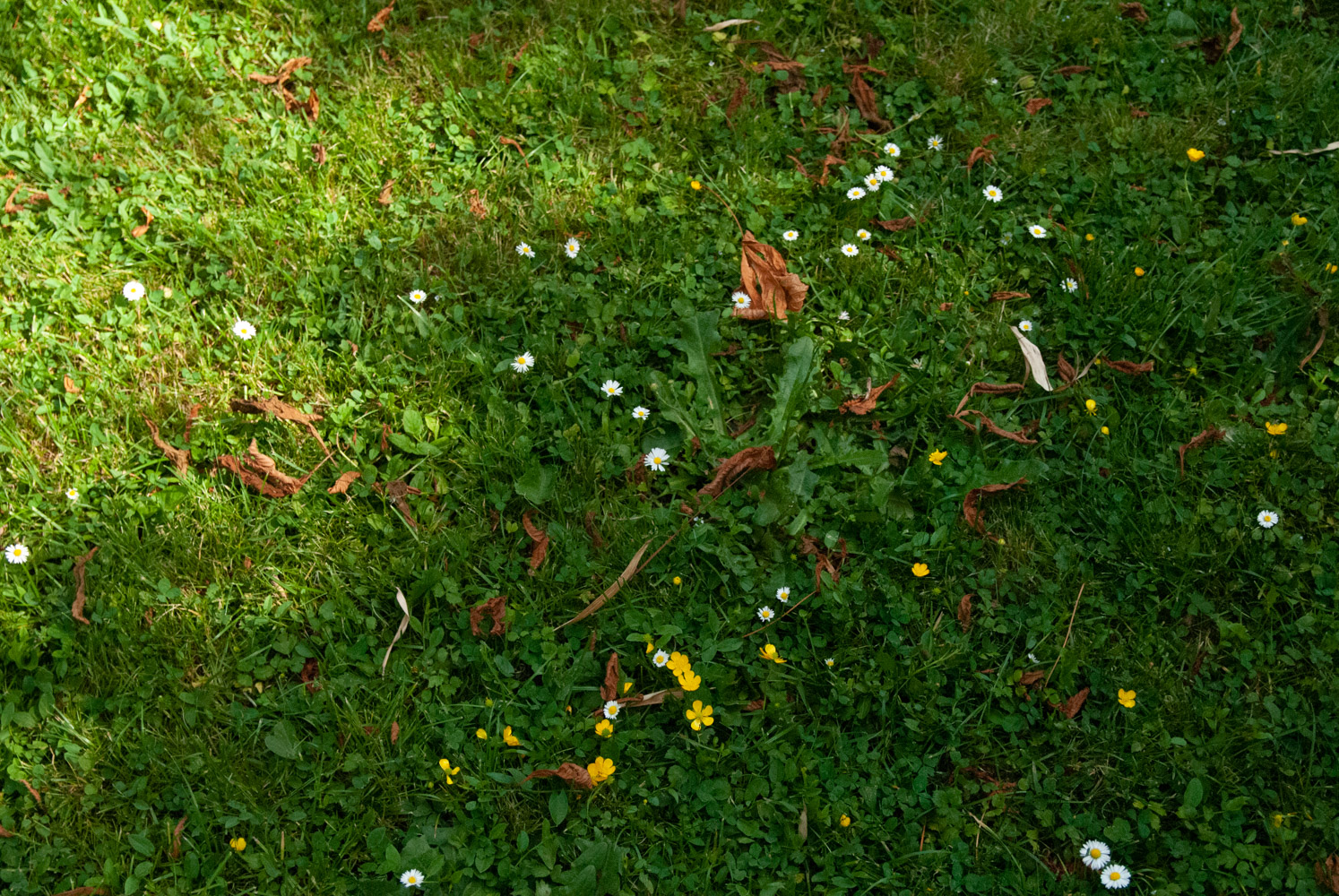 « Le vent s’engouffre dans mes cheveux et le soleil tape sur mes joues  »