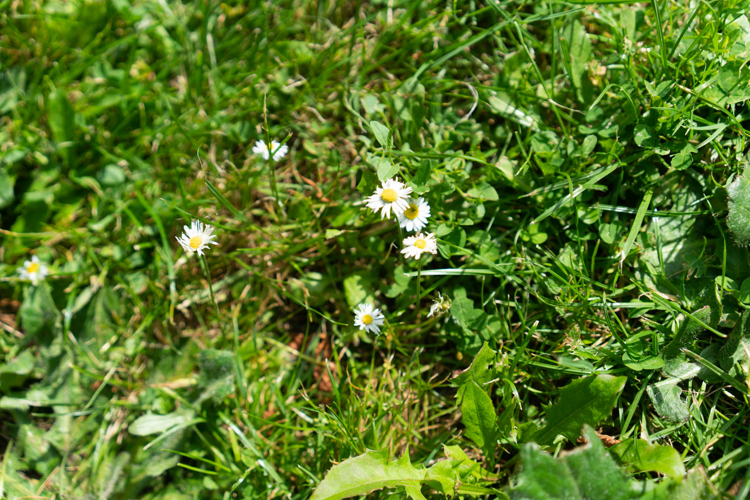 « Le vent s’engouffre dans mes cheveux et le soleil tape sur mes joues  »